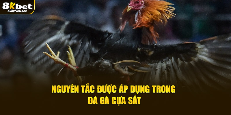 Nguyên tắc được áp dụng trong đá gà cựa sắt