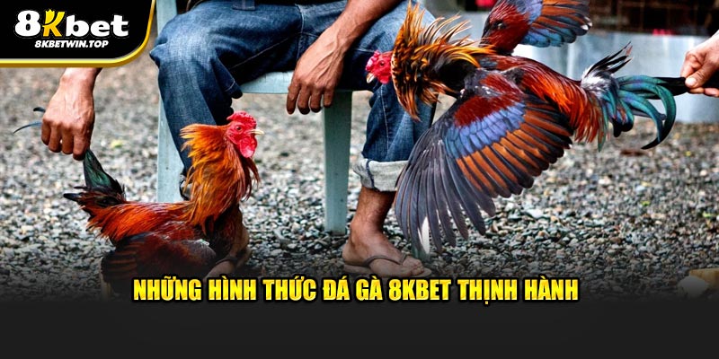 Những hình thức đá gà 8KBET thịnh hành